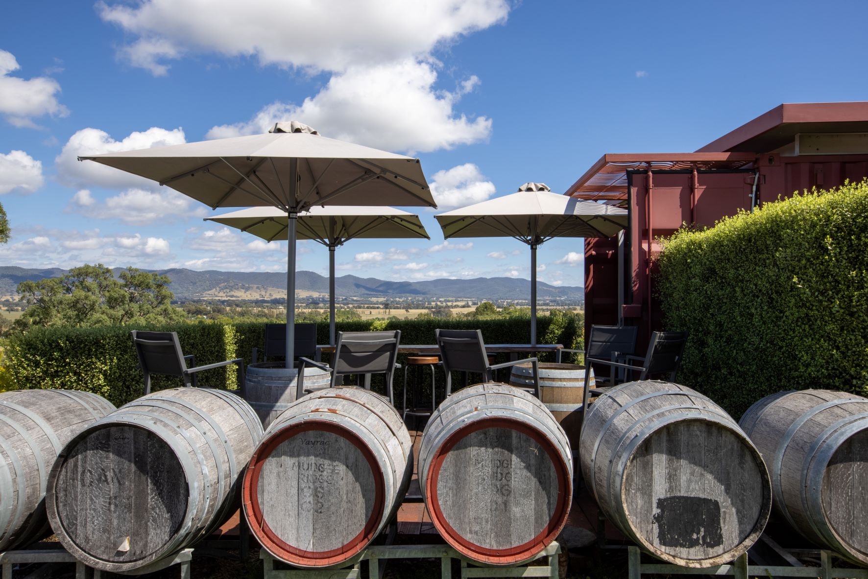 Mudgee Wine